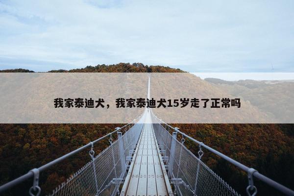我家泰迪犬，我家泰迪犬15岁走了正常吗