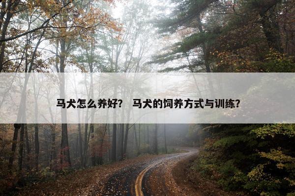 马犬怎么养好？ 马犬的饲养方式与训练？