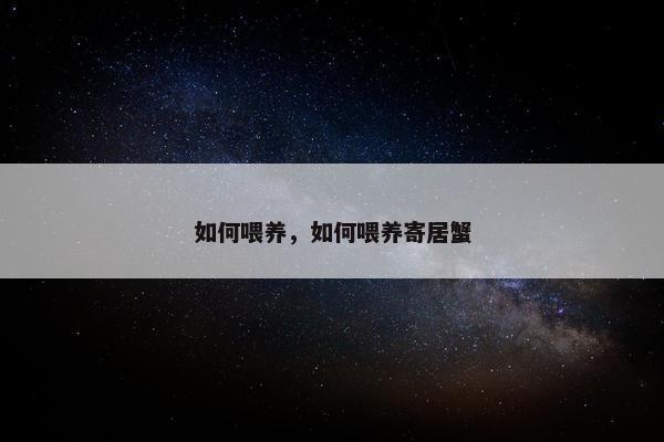 如何喂养，如何喂养寄居蟹