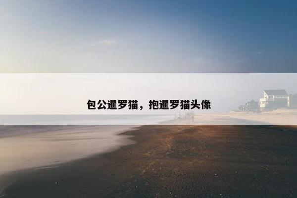 包公暹罗猫，抱暹罗猫头像