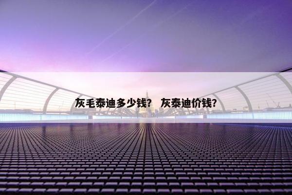 灰毛泰迪多少钱？ 灰泰迪价钱？