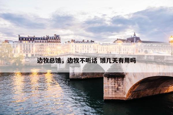 边牧总饿，边牧不听话 饿几天有用吗