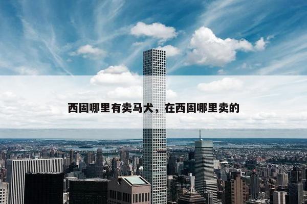 西固哪里有卖马犬，在西固哪里卖的