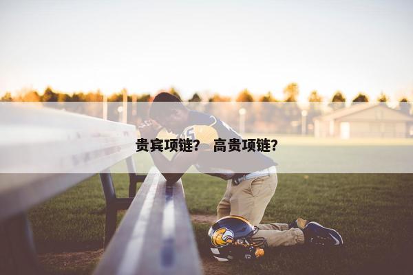 贵宾项链？ 高贵项链？