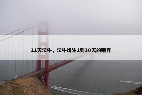 21天法牛，法牛出生1到30天的喂养