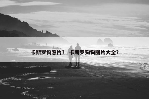 卡斯罗狗照片？ 卡斯罗狗狗图片大全？