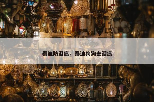 泰迪防泪痕，泰迪狗狗去泪痕