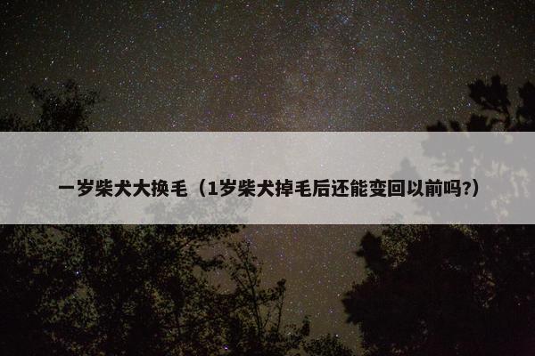 一岁柴犬大换毛（1岁柴犬掉毛后还能变回以前吗?）