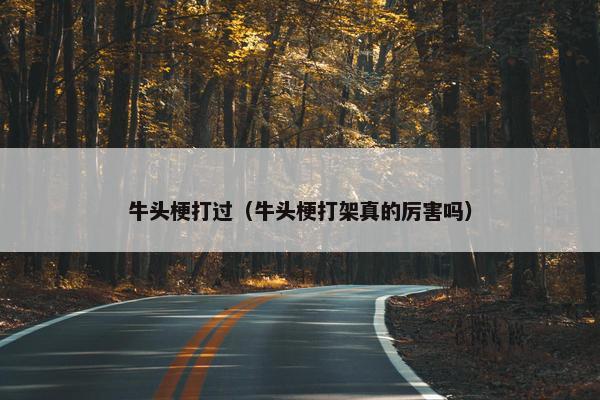 牛头梗打过（牛头梗打架真的厉害吗）