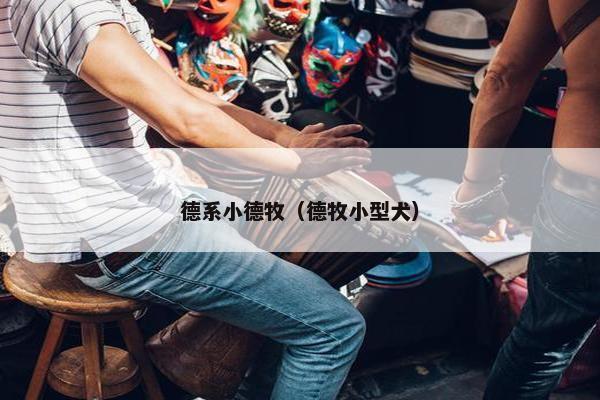 德系小德牧（德牧小型犬）