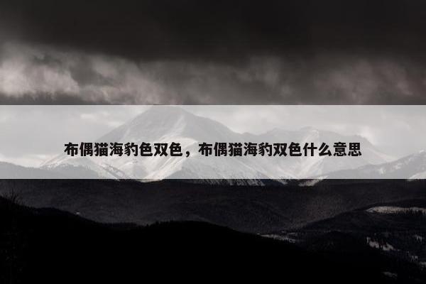 布偶猫海豹色双色，布偶猫海豹双色什么意思