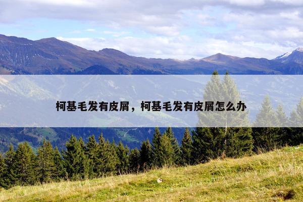 柯基毛发有皮屑，柯基毛发有皮屑怎么办
