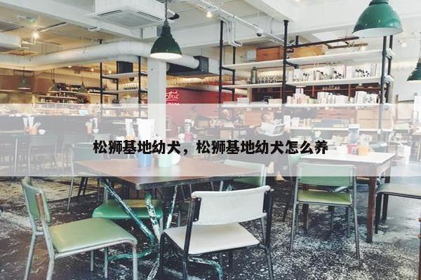 松狮基地幼犬，松狮基地幼犬怎么养