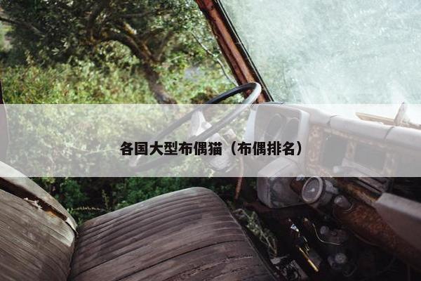 各国大型布偶猫（布偶排名）