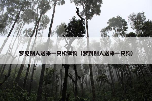 梦见别人送来一只松狮狗（梦到别人送来一只狗）
