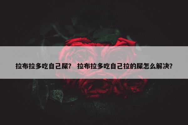 拉布拉多吃自己屎？ 拉布拉多吃自己拉的屎怎么解决？