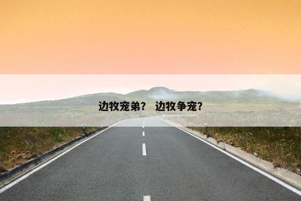 边牧宠弟？ 边牧争宠？