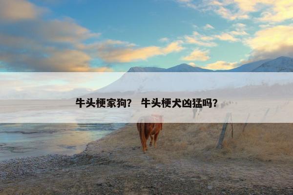 牛头梗家狗？ 牛头梗犬凶猛吗？