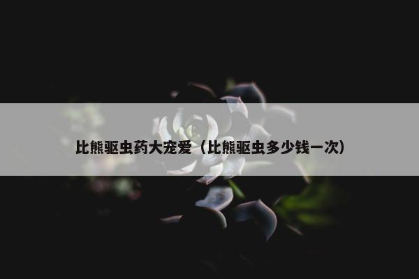 比熊驱虫药大宠爱（比熊驱虫多少钱一次）