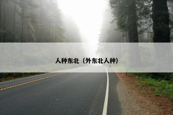 人种东北（外东北人种）