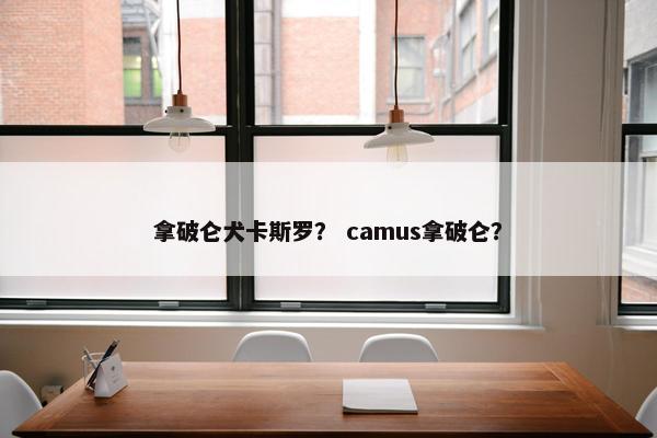 拿破仑犬卡斯罗？ camus拿破仑？