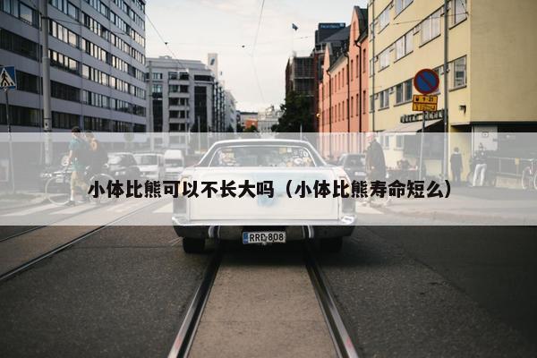 小体比熊可以不长大吗（小体比熊寿命短么）