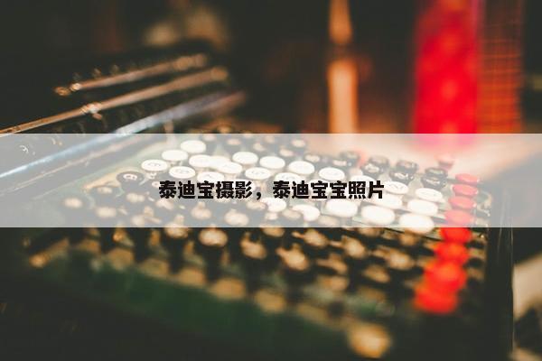 泰迪宝摄影，泰迪宝宝照片