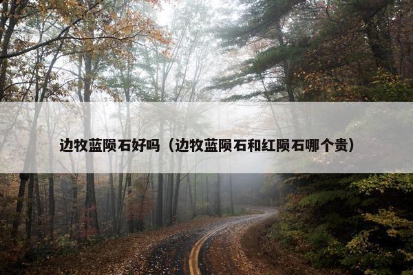 边牧蓝陨石好吗（边牧蓝陨石和红陨石哪个贵）