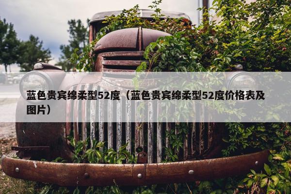 蓝色贵宾绵柔型52度（蓝色贵宾绵柔型52度价格表及图片）