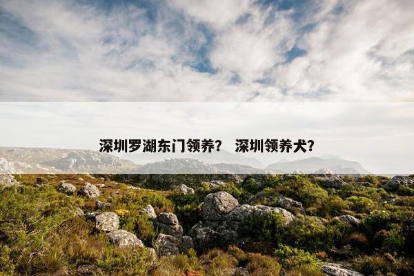 深圳罗湖东门领养？ 深圳领养犬？