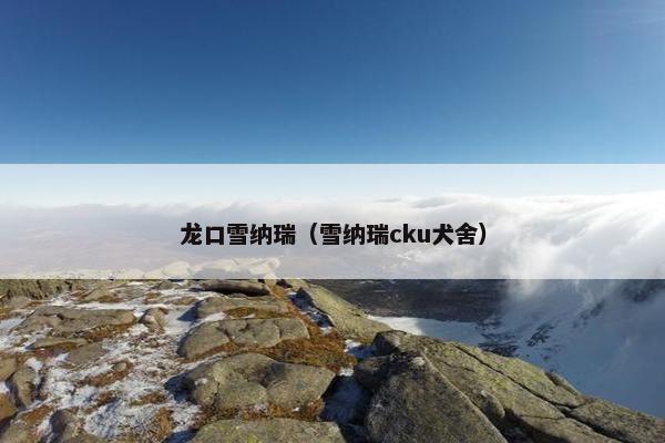 龙口雪纳瑞（雪纳瑞cku犬舍）