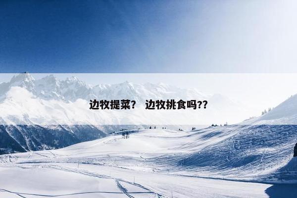 边牧提菜？ 边牧挑食吗?？