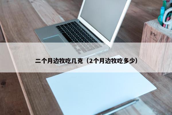 二个月边牧吃几克（2个月边牧吃多少）