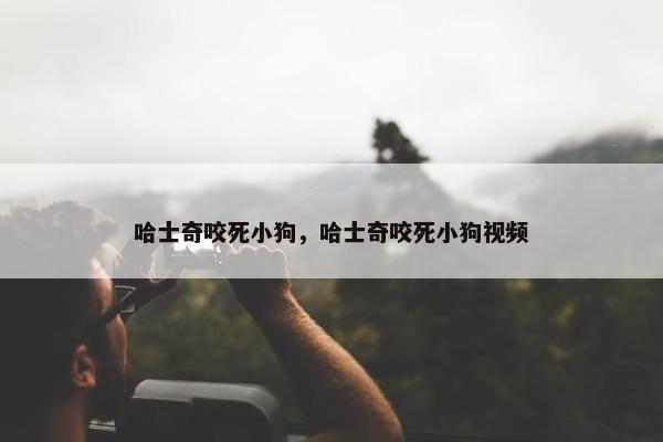 哈士奇咬死小狗，哈士奇咬死小狗视频