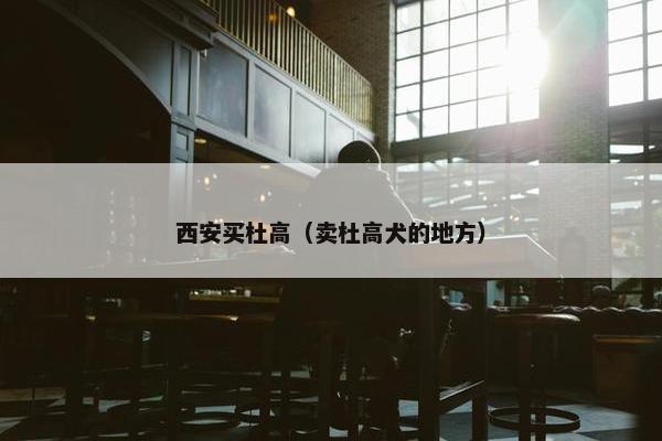 西安买杜高（卖杜高犬的地方）