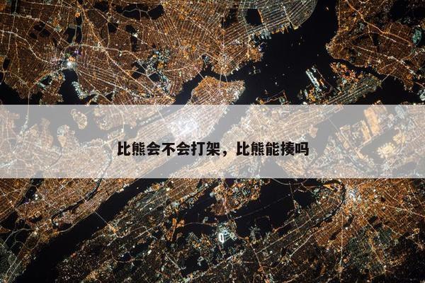 比熊会不会打架，比熊能揍吗
