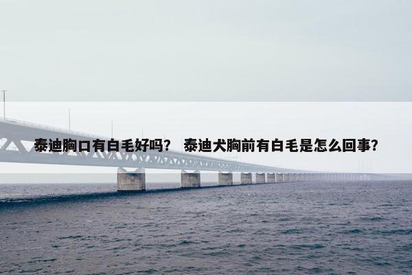 泰迪胸口有白毛好吗？ 泰迪犬胸前有白毛是怎么回事？