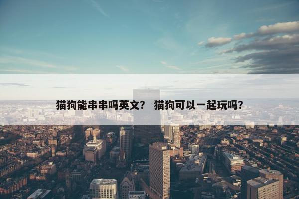 猫狗能串串吗英文？ 猫狗可以一起玩吗？