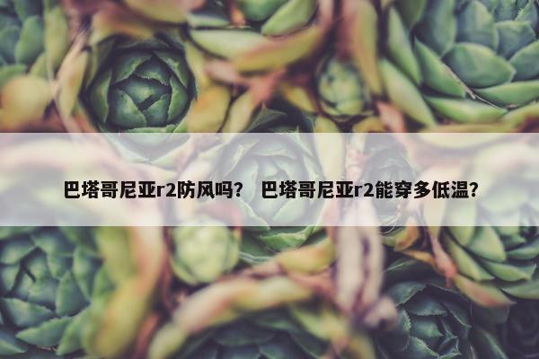 巴塔哥尼亚r2防风吗？ 巴塔哥尼亚r2能穿多低温？