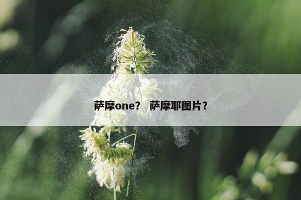 萨摩one？ 萨摩耶图片？