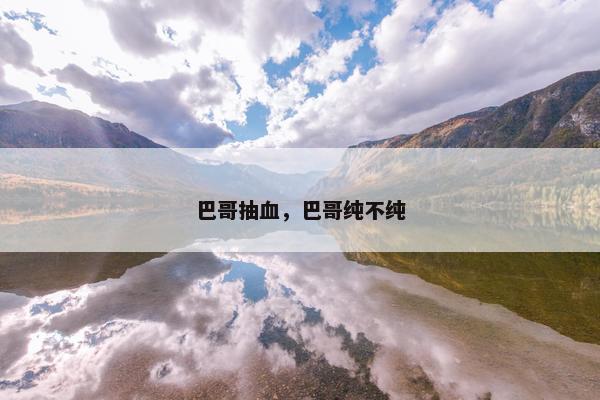 巴哥抽血，巴哥纯不纯