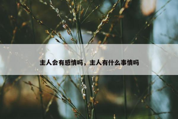 主人会有感情吗，主人有什么事情吗