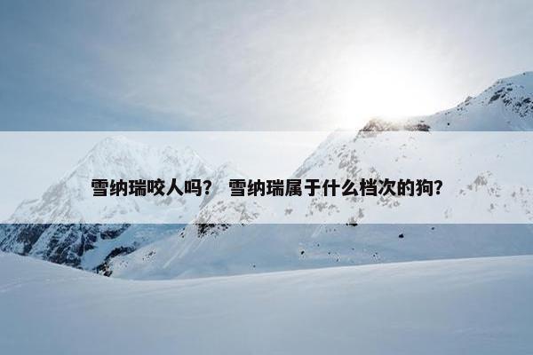 雪纳瑞咬人吗？ 雪纳瑞属于什么档次的狗？