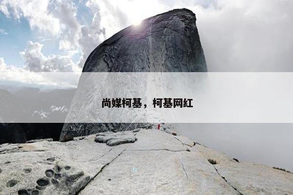 尚媒柯基，柯基网红