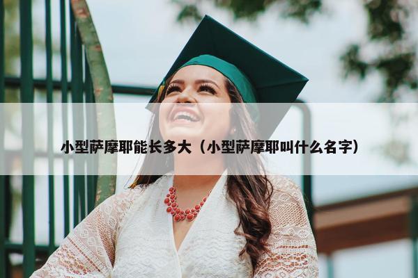 小型萨摩耶能长多大（小型萨摩耶叫什么名字）