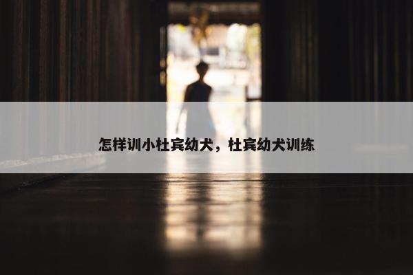怎样训小杜宾幼犬，杜宾幼犬训练