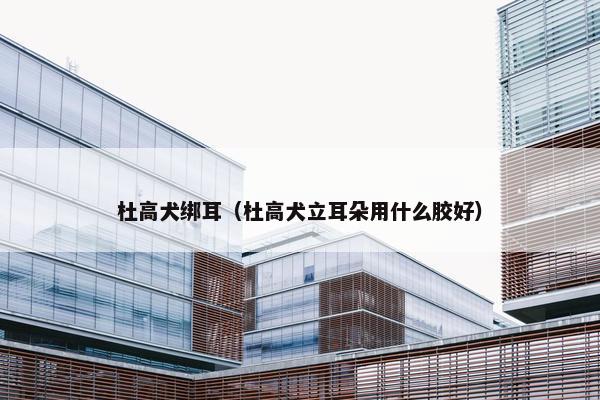 杜高犬绑耳（杜高犬立耳朵用什么胶好）