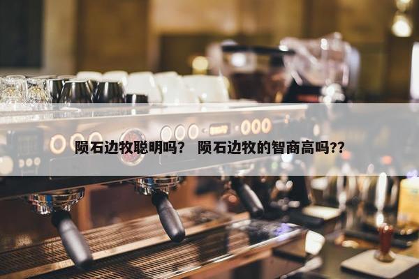 陨石边牧聪明吗？ 陨石边牧的智商高吗?？