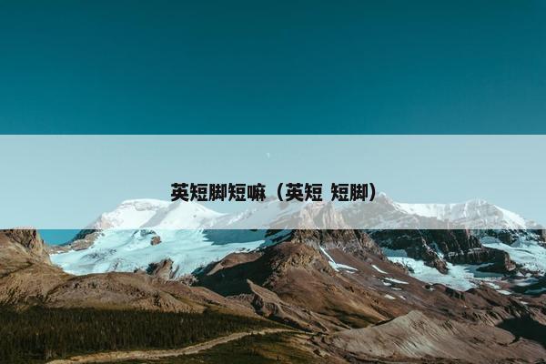 英短脚短嘛（英短 短脚）