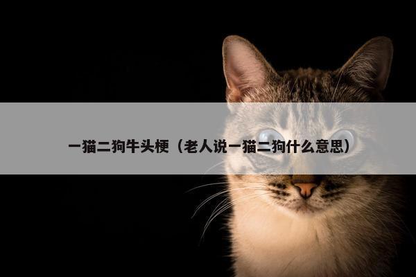 一猫二狗牛头梗（老人说一猫二狗什么意思）